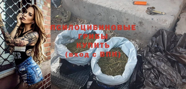 бутират Бородино