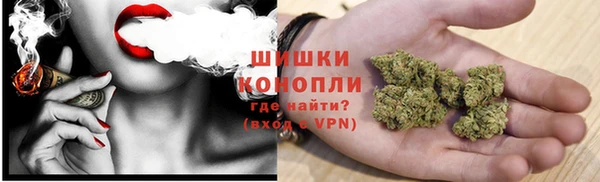 дурь Бронницы