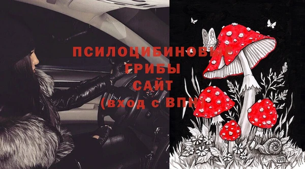 дурь Бронницы