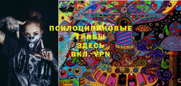 дурь Бронницы