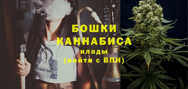 дурь Бронницы