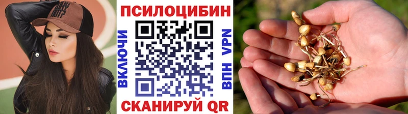 Галлюциногенные грибы Psilocybine cubensis  KRAKEN зеркало  Валдай 